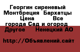 Георгин сиреневый. Монтбреция. Бархатцы.  › Цена ­ 100 - Все города Сад и огород » Другое   . Ненецкий АО